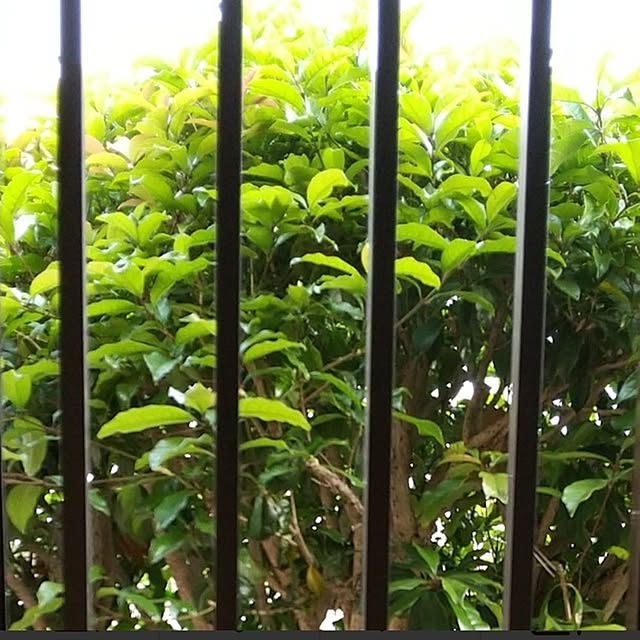 Renさんの部屋