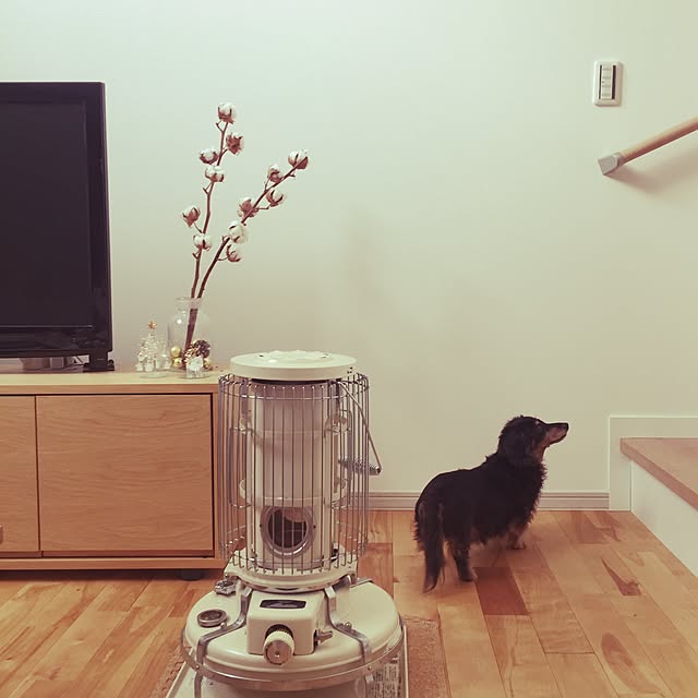 pipokiさんの実例写真