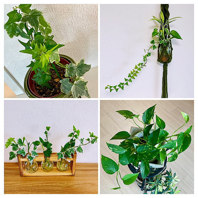 2.11maririnさんの実例写真