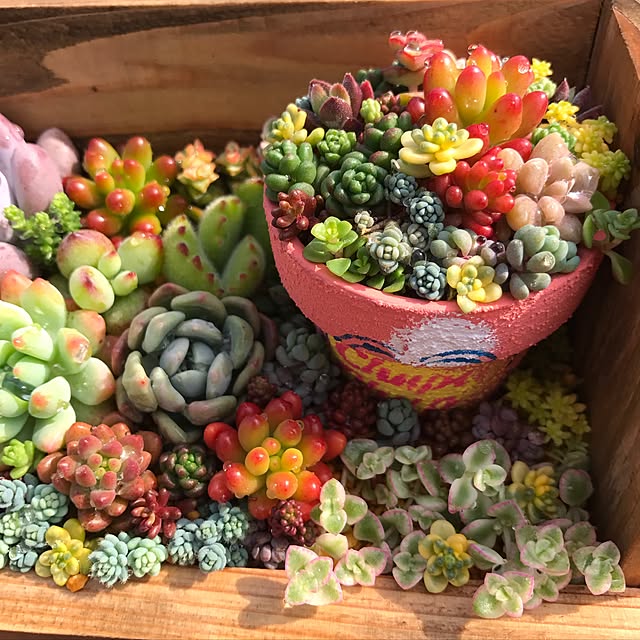 minminさんの実例写真