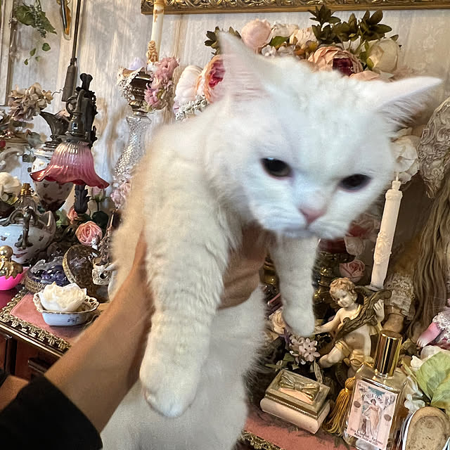 AYUKOさんの部屋