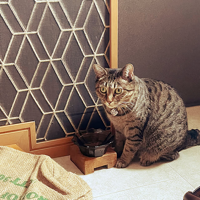 Mさんの実例写真