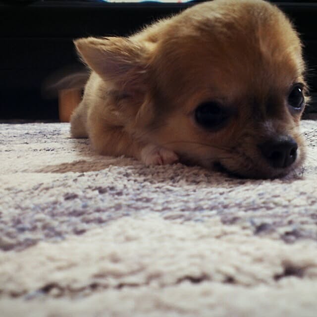 Mwさんの実例写真