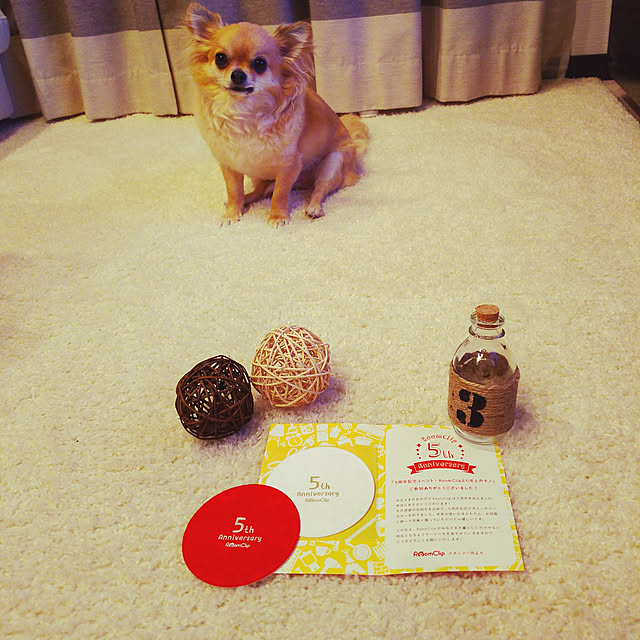 kojikojiさんの実例写真