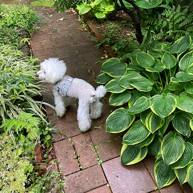 justyさんの部屋