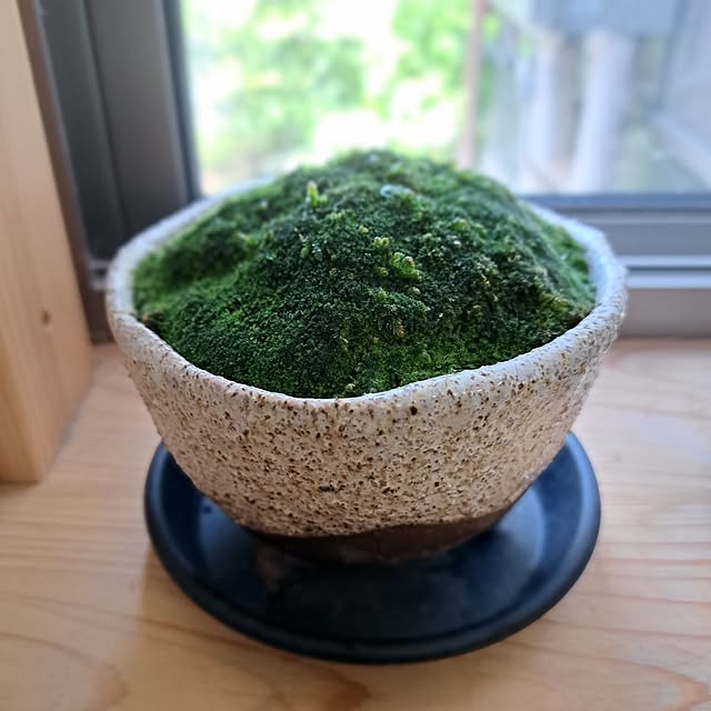 kazuraさんの部屋