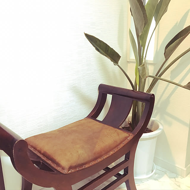 カルティニチェアのおすすめ商品とおしゃれな実例 ｜ RoomClip
