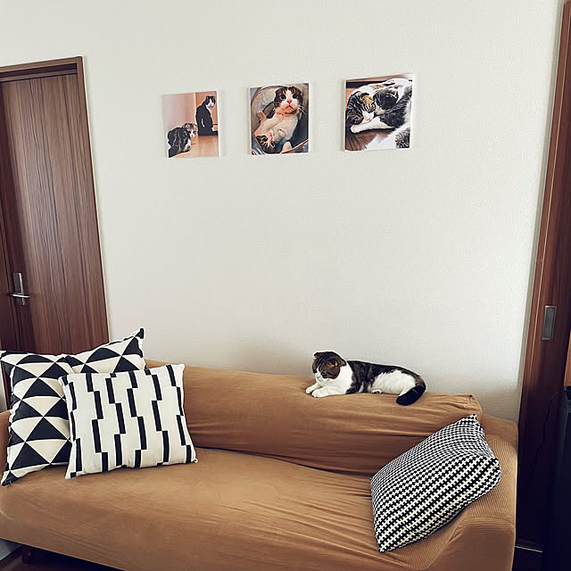 tansukeさんの実例写真