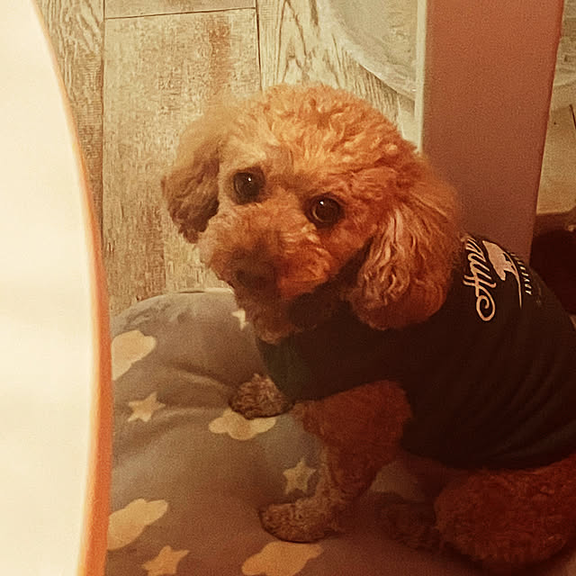 COCOさんの実例写真