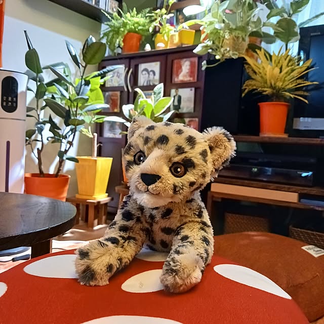 funnyfaceさんの実例写真