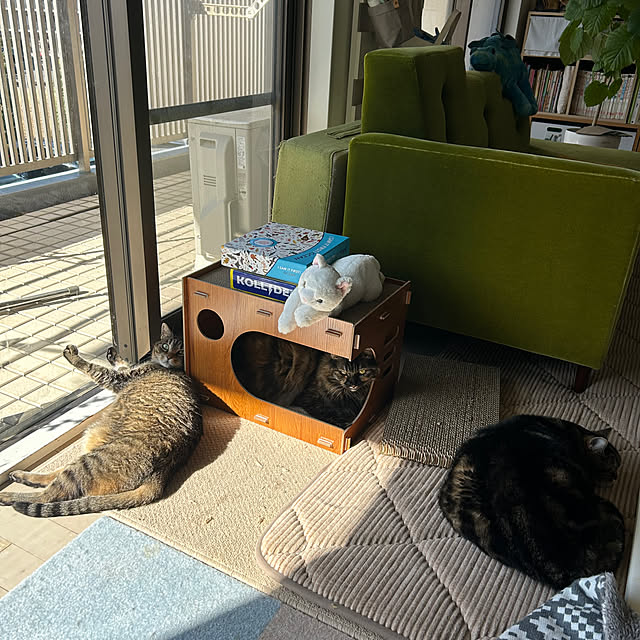 mikomaruさんの部屋