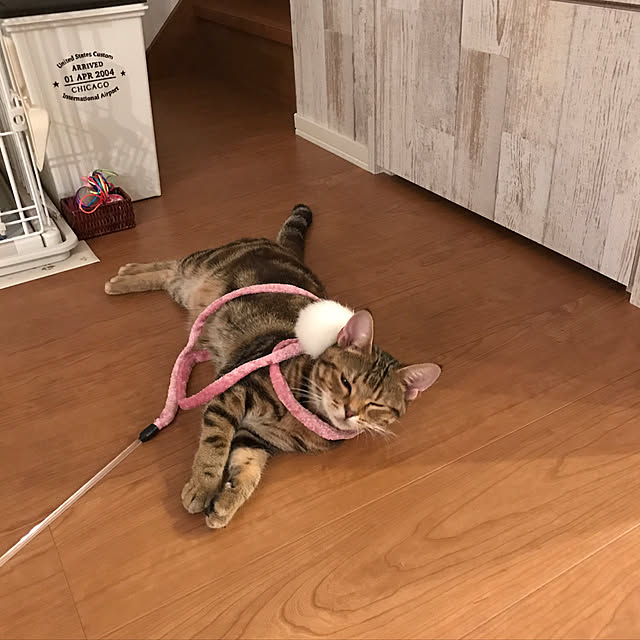 wyさんの実例写真