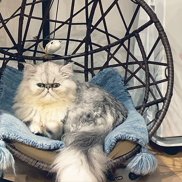 ryushinさんの実例写真