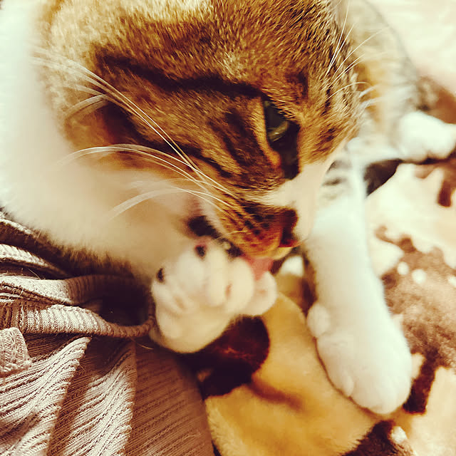 marinkarinさんの部屋