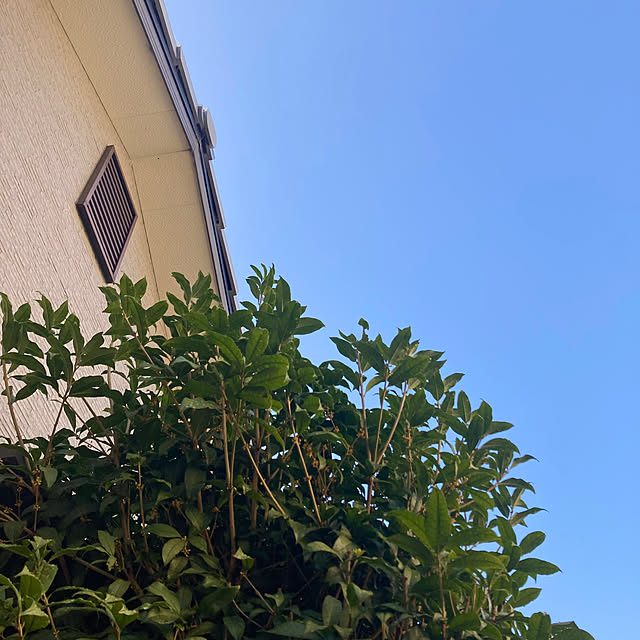 kaoriさんの部屋