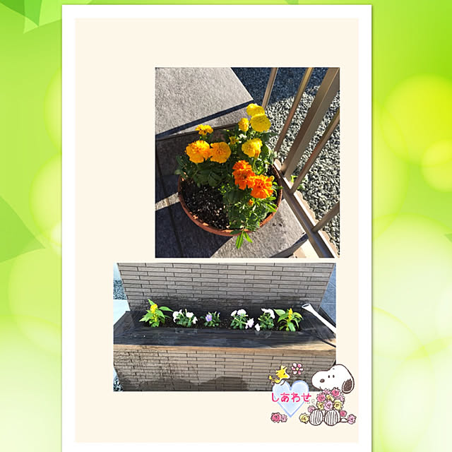 clover753さんの実例写真