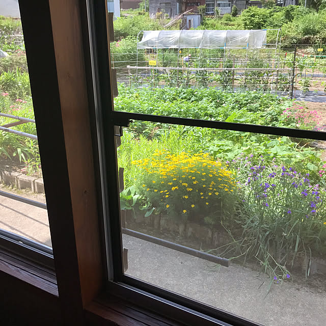 aoinokimiさんの部屋