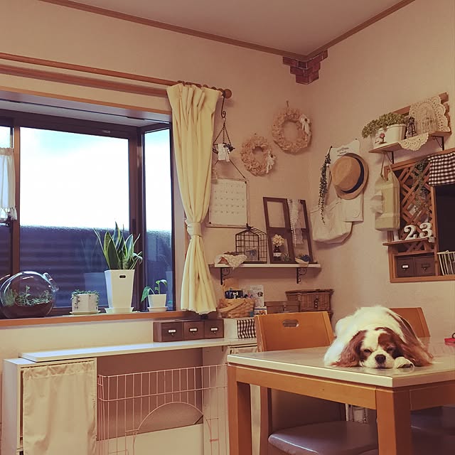 canmilmamaさんの実例写真