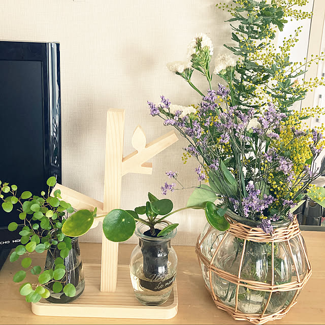 観葉植物/棚のインテリア実例 - 2023-02-21 16:20:09