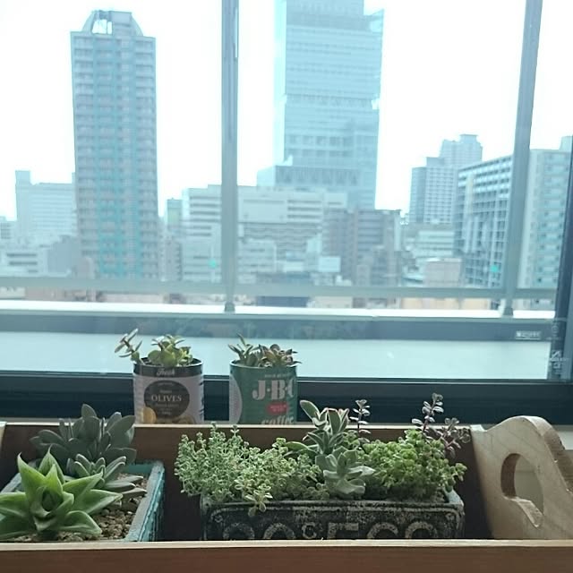 実例写真