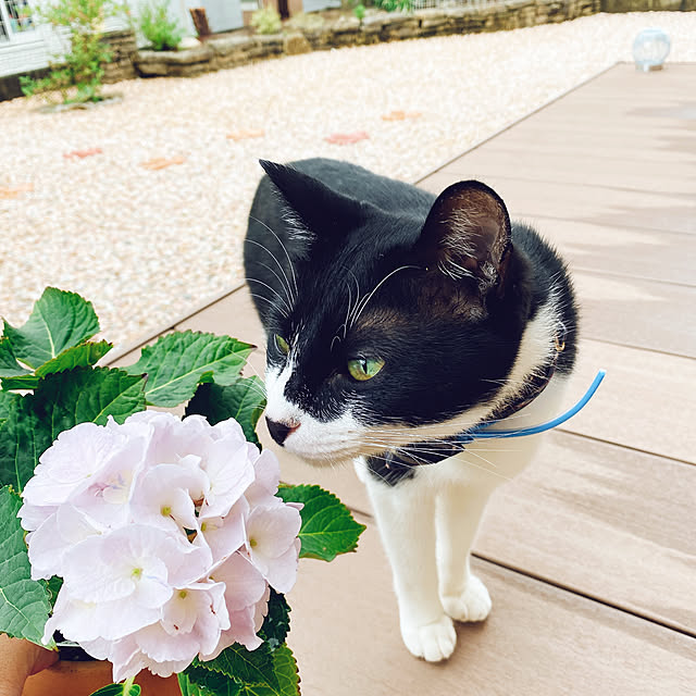 moolさんの実例写真
