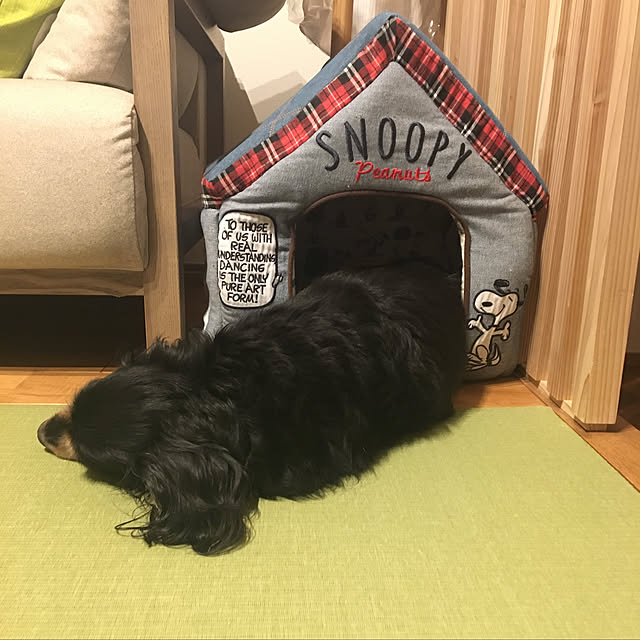 KCFSARさんの実例写真
