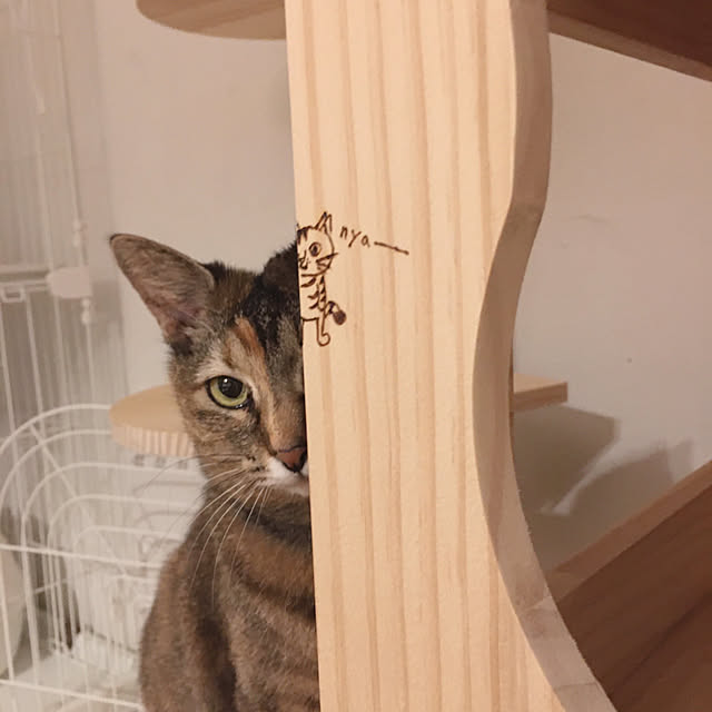 oasisさんの実例写真