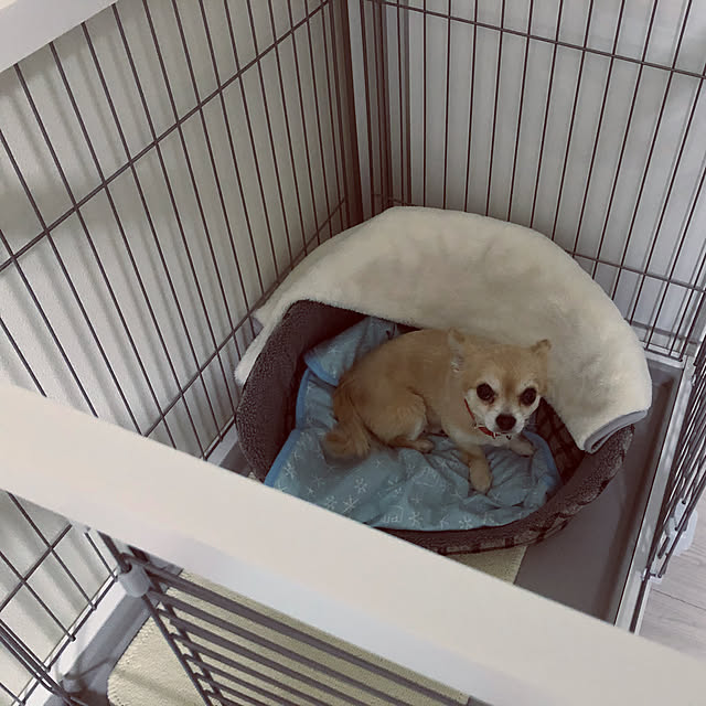 nori.kさんの実例写真
