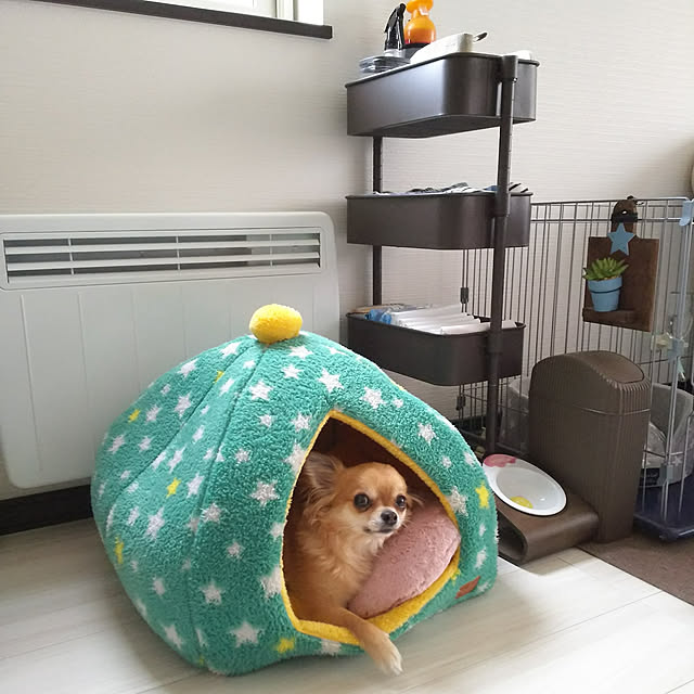 kojikojiさんの実例写真