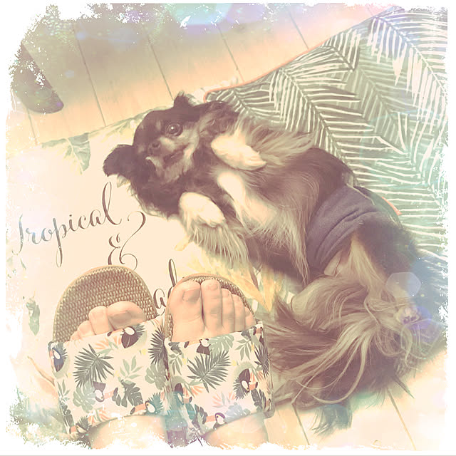 jamberryさんの実例写真