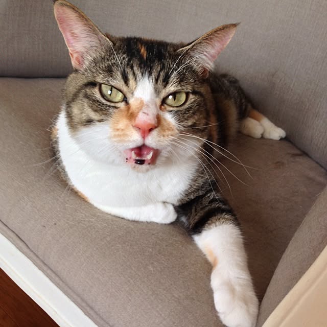 saqura_apartment101さんの実例写真
