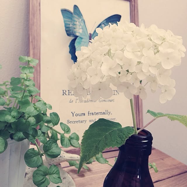 yomogiさんの実例写真