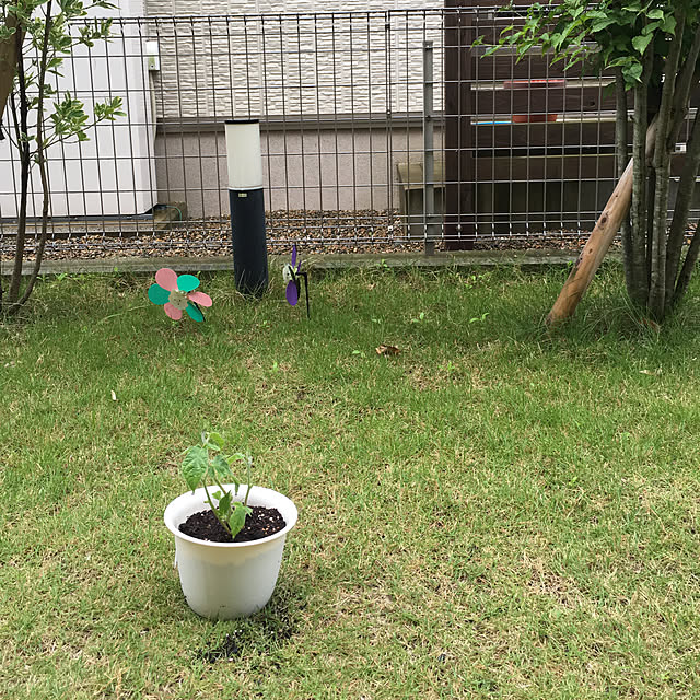 yumi.coroさんの実例写真