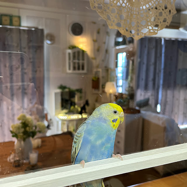 Atsukoさんの部屋