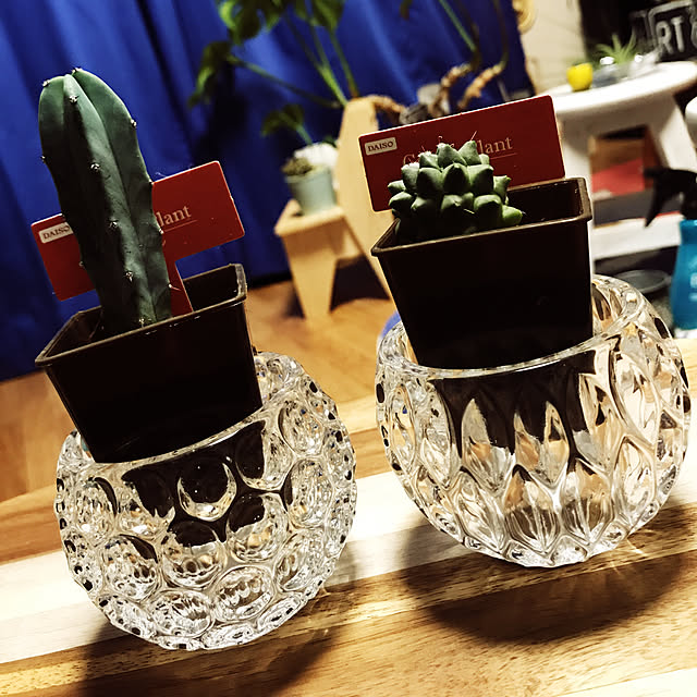 yuさんの実例写真