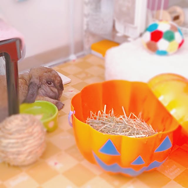 mariaさんの実例写真