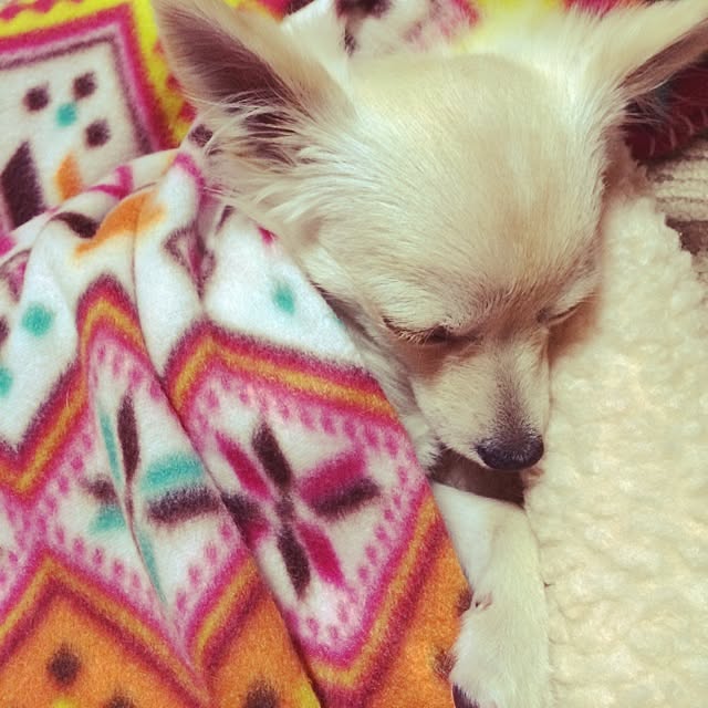 KaRoRyさんの実例写真