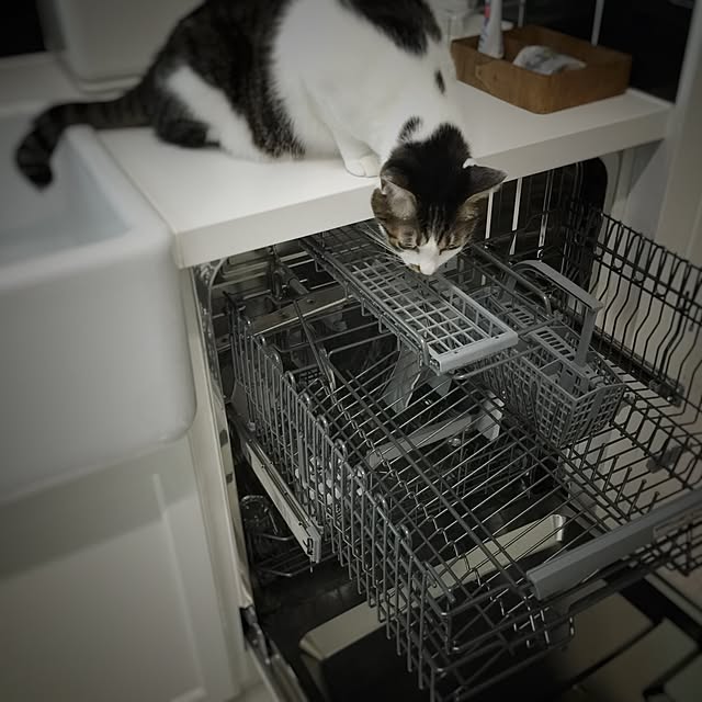 yuchiさんの実例写真