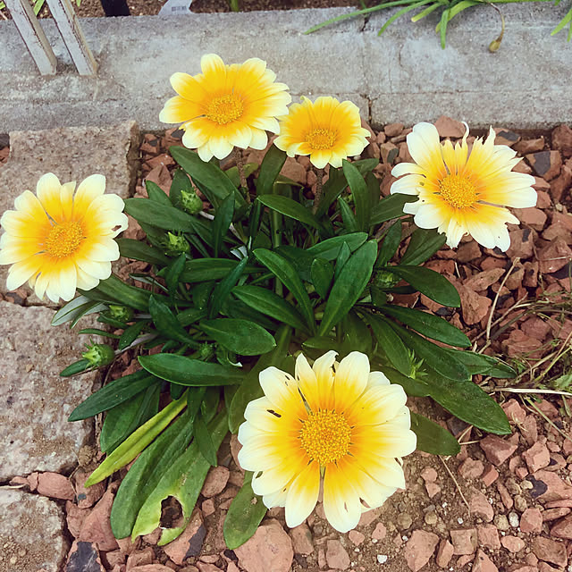 tomoさんの部屋