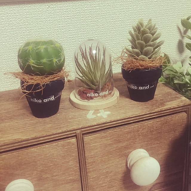 yuccaさんの実例写真