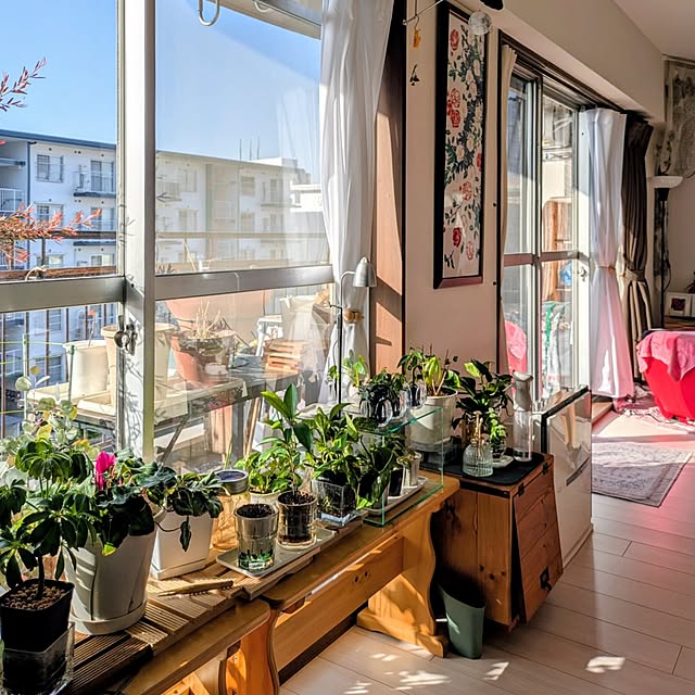 mi-saさんの実例写真