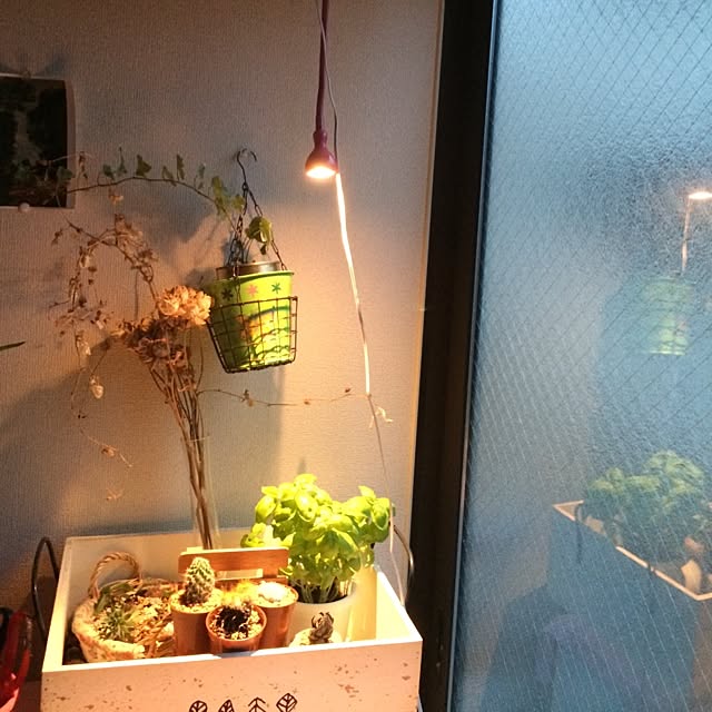horurunさんの実例写真