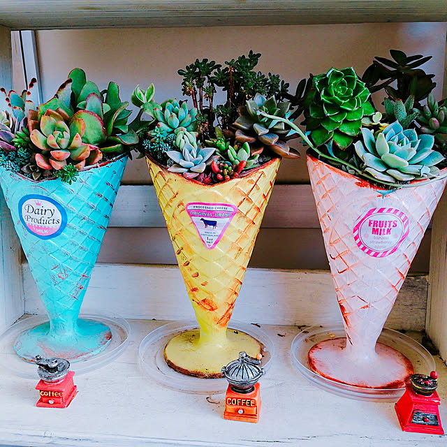 棚/投稿イベントテーマ/ガーデン雑貨/succulent plants/植物...などのインテリア実例 - 2019-03-14 09:00:32