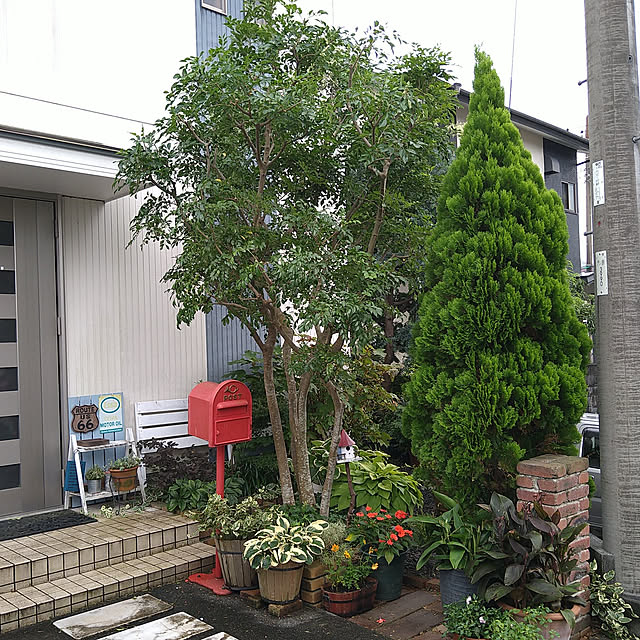 kohmarlさんの実例写真