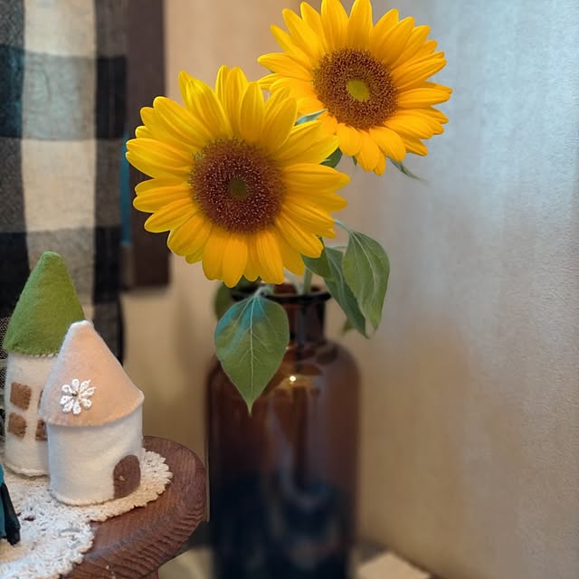 michiさんの部屋