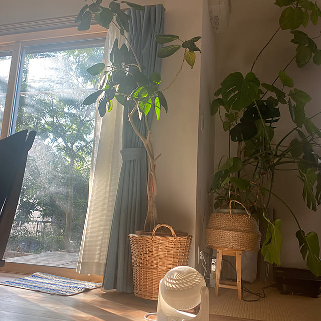 kotaroさんの部屋