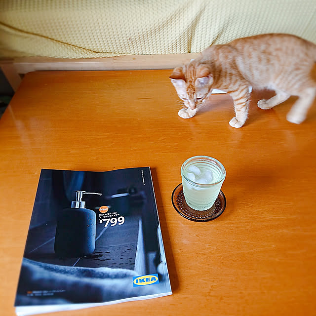 kikiさんの実例写真