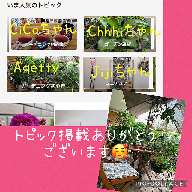 Aqettyさんの実例写真