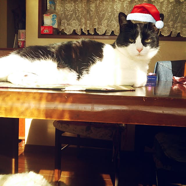 tomopさんの実例写真