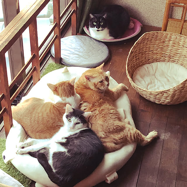 Oreoさんの実例写真
